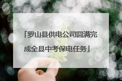 罗山县供电公司圆满完成全县中考保电任务