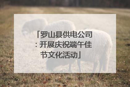 罗山县供电公司：开展庆祝端午佳节文化活动