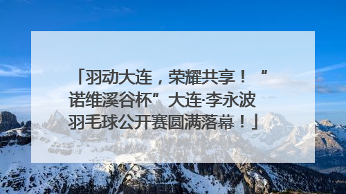 羽动大连，荣耀共享！“诺维溪谷杯”大连·李永波羽毛球公开赛圆满落幕！