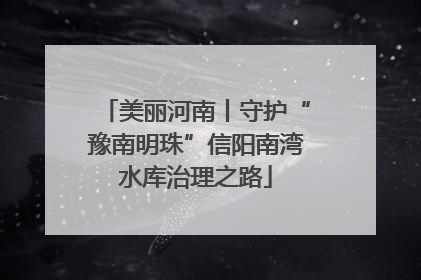 美丽河南丨守护“豫南明珠”信阳南湾水库治理之路
