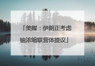 美媒：伊朗正考虑铀浓缩联营体提议