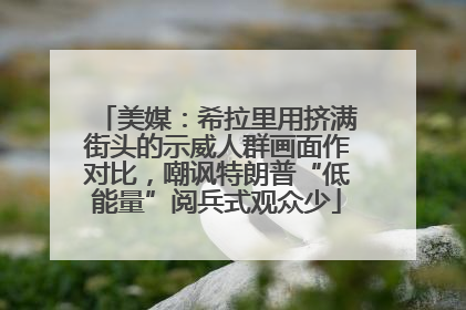 美媒：希拉里用挤满街头的示威人群画面作对比，嘲讽特朗普“低能量”阅兵式观众少