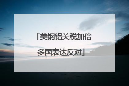 美钢铝关税加倍 多国表达反对