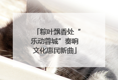 粽叶飘香处“乐动蓉城”奏响文化惠民新曲