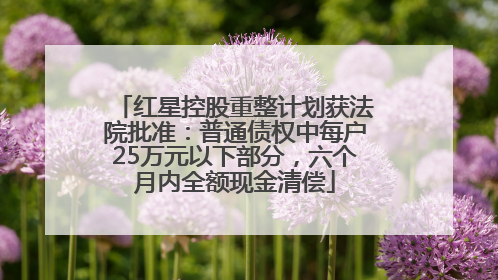 红星控股重整计划获法院批准：普通债权中每户25万元以下部分，六个月内全额现金清偿