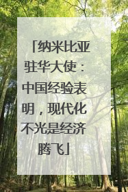 纳米比亚驻华大使：中国经验表明，现代化不光是经济腾飞