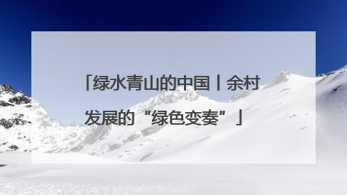 绿水青山的中国丨余村发展的“绿色变奏”