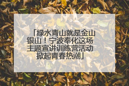 绿水青山就是金山银山！宁波奉化这场主题宣讲训练营活动掀起青春热潮
