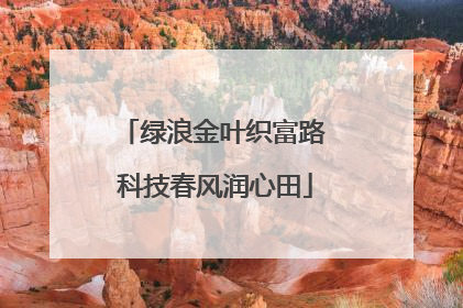 绿浪金叶织富路 科技春风润心田