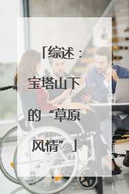 综述：宝塔山下的“草原风情”