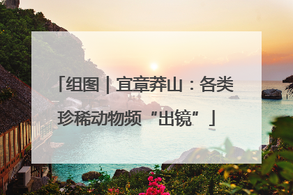 组图｜宜章莽山：各类珍稀动物频“出镜”