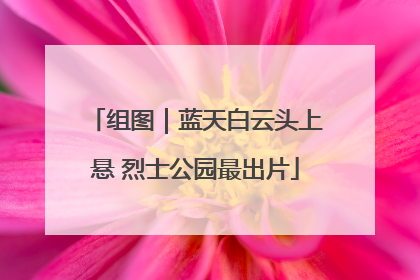 组图｜蓝天白云头上悬 烈士公园最出片