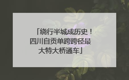 绕行半城成历史！四川自贡单跨跨径最大特大桥通车