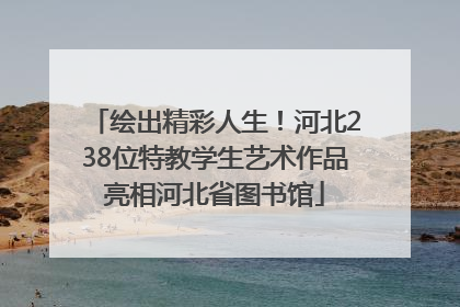 绘出精彩人生！河北238位特教学生艺术作品亮相河北省图书馆