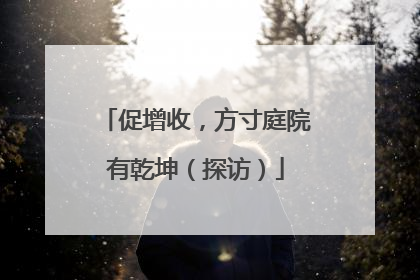 促增收，方寸庭院有乾坤（探访）