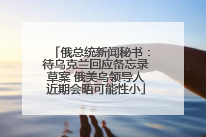 俄总统新闻秘书：待乌克兰回应备忘录草案 俄美乌领导人近期会晤可能性小