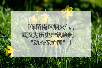 保留街区烟火气，武汉为历史建筑绘制“动态保护图”