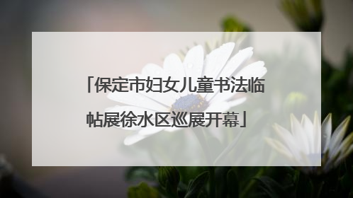 保定市妇女儿童书法临帖展徐水区巡展开幕