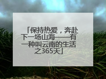 保持热爱，奔赴下一场山海——有一种叫云南的生活之365天