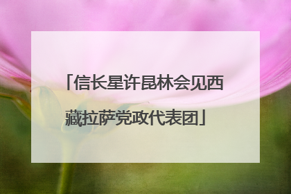 信长星许昆林会见西藏拉萨党政代表团