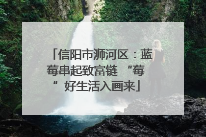 信阳市浉河区：蓝莓串起致富链 “莓”好生活入画来