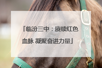 临汾三中：赓续红色血脉 凝聚奋进力量