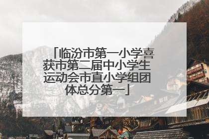 临汾市第一小学喜获市第二届中小学生运动会市直小学组团体总分第一