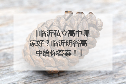 临沂私立高中哪家好？临沂明谷高中给你答案！