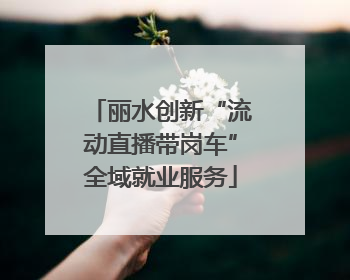 丽水创新“流动直播带岗车”全域就业服务