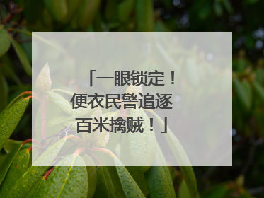一眼锁定！便衣民警追逐百米擒贼！