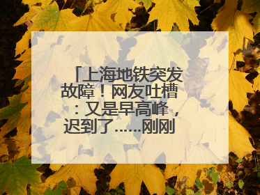 上海地铁突发故障！网友吐槽：又是早高峰，迟到了……刚刚，官方致歉→