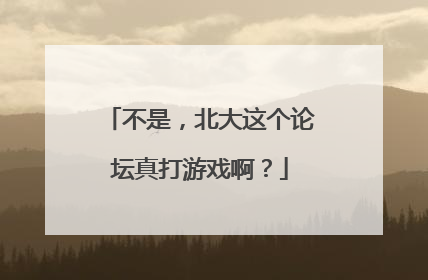 不是，北大这个论坛真打游戏啊？