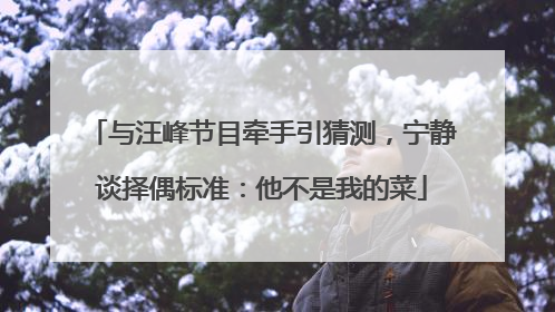 与汪峰节目牵手引猜测，宁静谈择偶标准：他不是我的菜