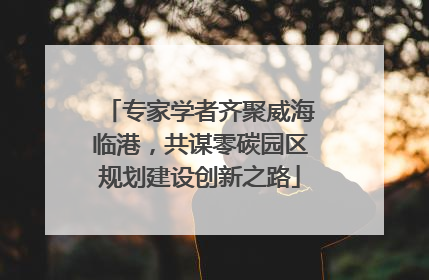 专家学者齐聚威海临港，共谋零碳园区规划建设创新之路