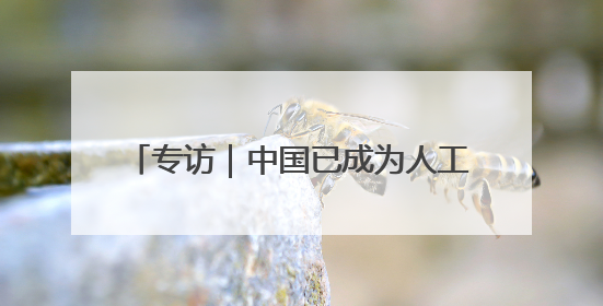 专访｜中国已成为人工智能技术落地的“热土”——访博世集团董事会主席斯特凡·哈通