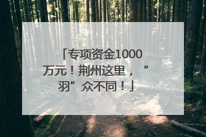 专项资金1000万元！荆州这里，“羽”众不同！