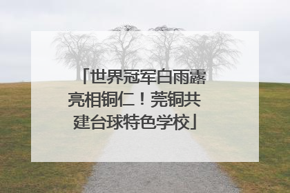 世界冠军白雨露亮相铜仁！莞铜共建台球特色学校