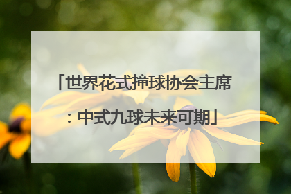 世界花式撞球协会主席：中式九球未来可期