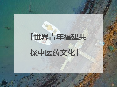 世界青年福建共探中医药文化