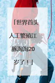 世界首头人工繁殖江豚淘淘20岁了！