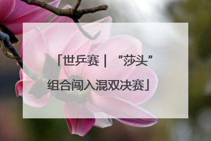 世乒赛｜“莎头”组合闯入混双决赛