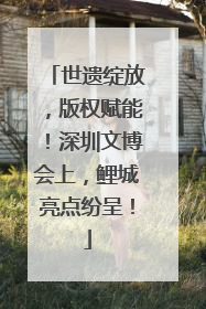 世遗绽放，版权赋能！深圳文博会上，鲤城亮点纷呈！