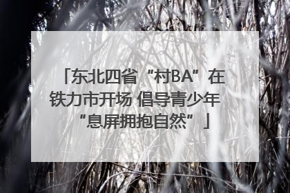 东北四省“村BA”在铁力市开场 倡导青少年“息屏拥抱自然”