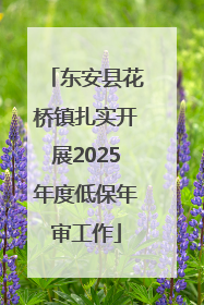 东安县花桥镇扎实开展2025年度低保年审工作