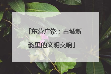 东营广饶：古城新韵里的文明交响