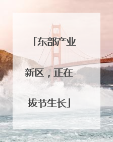 东部产业新区，正在拔节生长