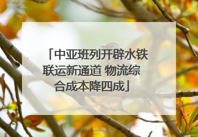 中亚班列开辟水铁联运新通道 物流综合成本降四成
