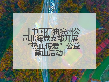 中国石油滨州公司北海党支部开展“热血传爱”公益献血活动