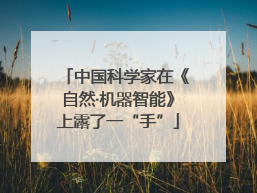 中国科学家在《自然·机器智能》上露了一“手”