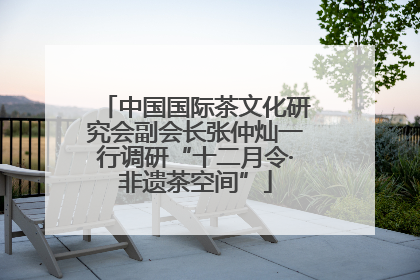 中国国际茶文化研究会副会长张仲灿一行调研“十二月令·非遗茶空间”